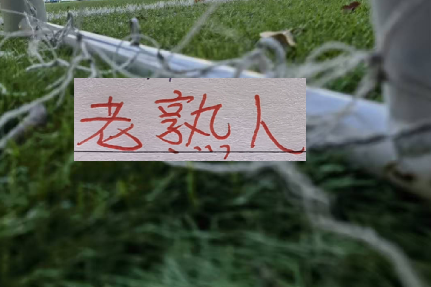 华体会体育官方入口-六月赛程！三大豪门再见老相识 申花遇马莱莱